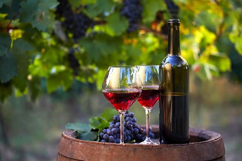 vtc route des vins de provence chauffeur pour circuit ou visite oéno-tourisme domaine viticole-chauffeur privé